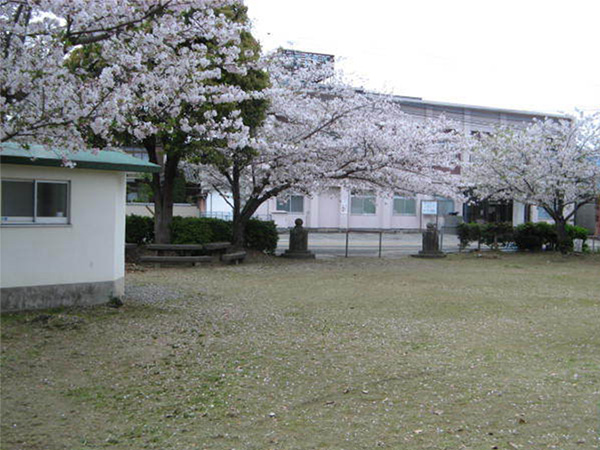 風景写真